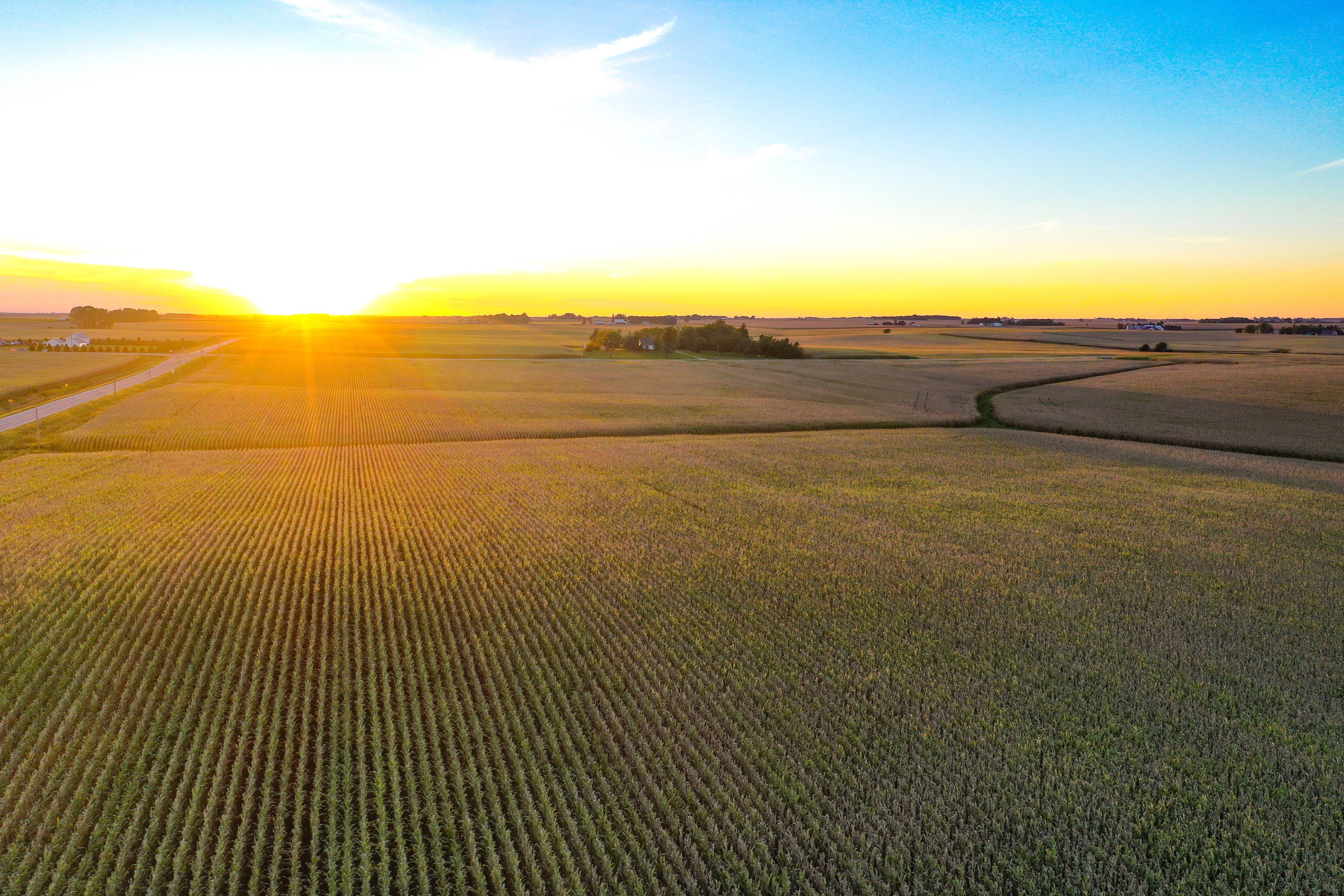 Listing Photo: 27-Butler Co IA Land For Sale